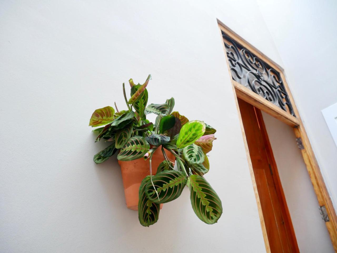 Bed and Breakfast Bird House Valencia Exterior foto